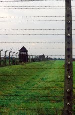 Auschwitz-Birkenau tours – the best way to take a crucial history lesson.