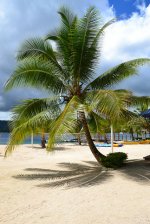 Vacations on tropical island – a dream that these days may be realized significantly simpler than ever in the past